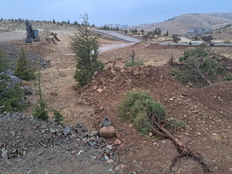 Elazığ Valiliği, ağaç kesimini savundu