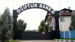 Ankara'da 50 milyonluk hindi çiftliği dolandırıcılığı