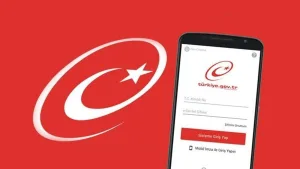 e-Devlet ile plaka yenileme dönemi başlıyor