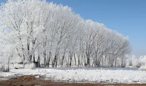 Sivas, eksi 23,2 dereceyle en soğuk il oldu