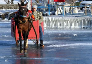 atlar buzda antrenman yapıyor