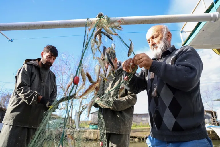 soğuk hava balık tezgahlarına bolluk getirdi