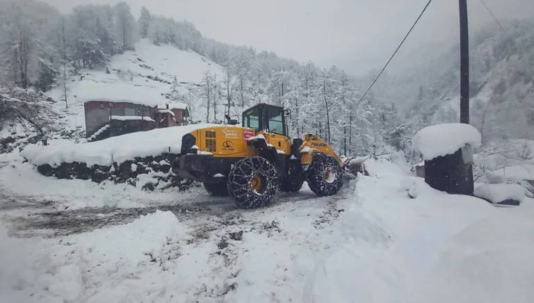 Rize'de kar nedeniyle 14 köy yolu kapandı