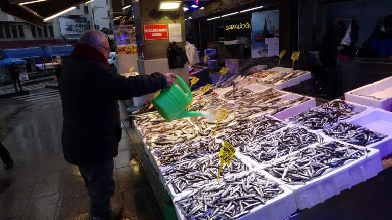 Hamsinin fiyatı fırtına nedeniyle iki katına çıktı