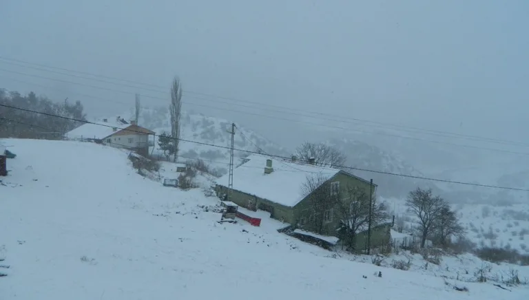 Ardahan'da kar yağışı ve sis ulaşımı olumsuz etkiliyor