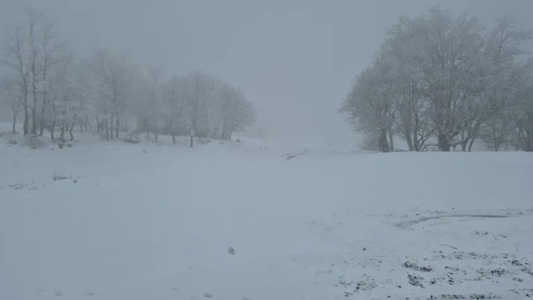 Tekirdağ'da kar yağışıyla beyaz örtü oluştu