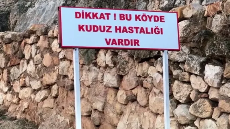 Adıyaman'da kuduz nedeniyle köy karantinaya alındı