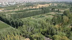 Atatürk Orman Çiftliği park alanı 10 yıllığına kiralanacak