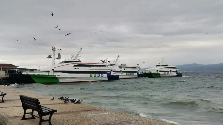 Bursa-İstanbul deniz otobüsü seferleri iptal edildi