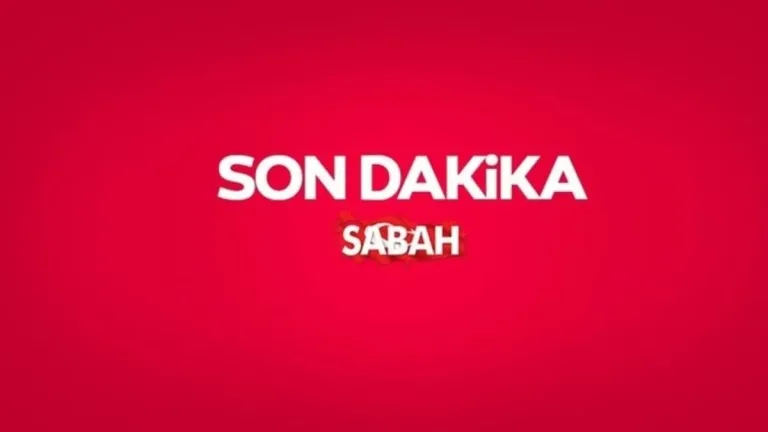 DEM Parti İmralı görüşmesi sonrası açıklama yaptı