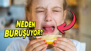 Ekşi yiyecekler neden yüzü buruşturur?