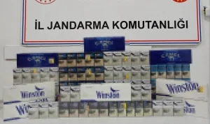 Van'da jandarma 610 paket kaçak sigara ele geçirdi