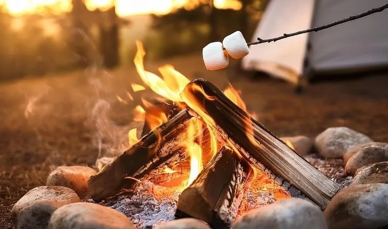 marshmallow'un kökeni bir bitki mi?