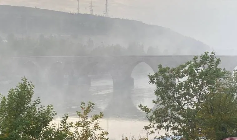 Diyarbakır'da yoğun sis uçak seferlerini aksattı