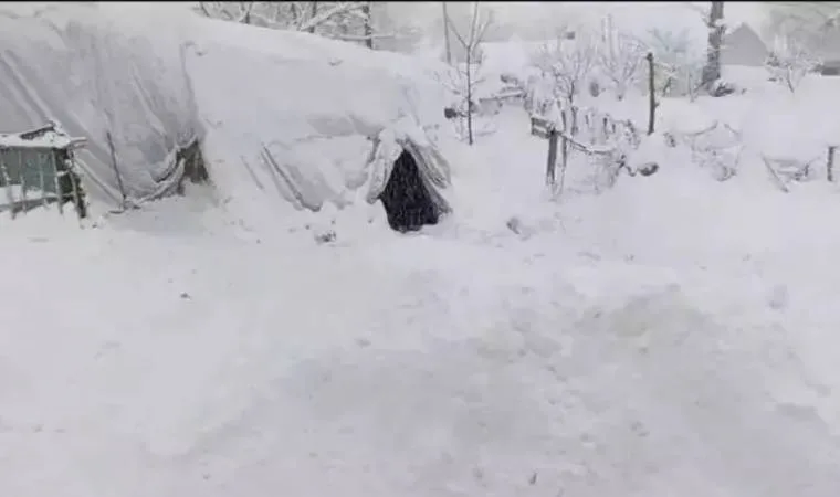 Van'da kar kalınlığı 35 santimetreye ulaştı