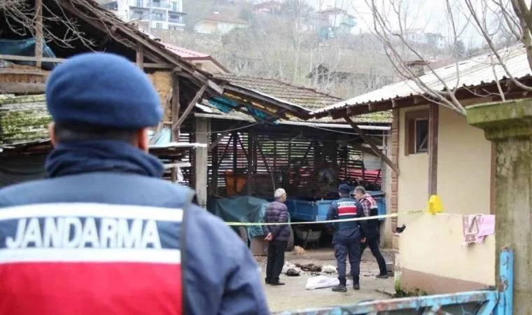 Horozların komşuya verilmesine sinirlenen şahıs dehşet saçtı