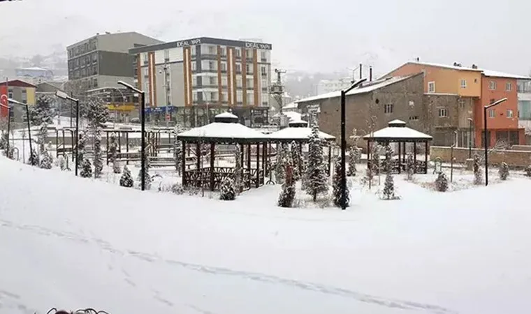 Van'da yoğun kar etkisiyle yollar kapandı