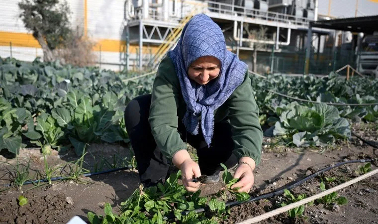 38 kadın haftada iki gün çalışarak üretim yapıyor