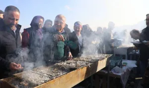 Perşembe'de 5. Hamsi Festivali'nde 10 ton hamsi tüketildi