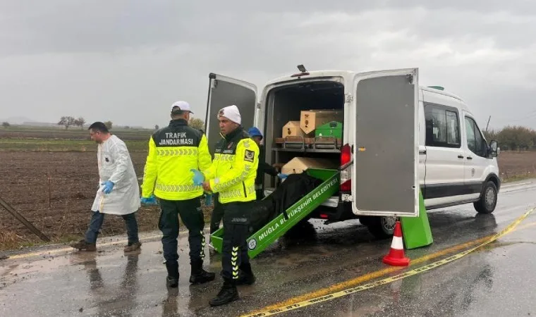 Milas'ta yol kenarında erkek cesedi bulundu