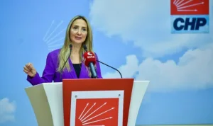 Aylin Nazlıaka, engelli sorunlarını 'şahsi' olarak algıladı