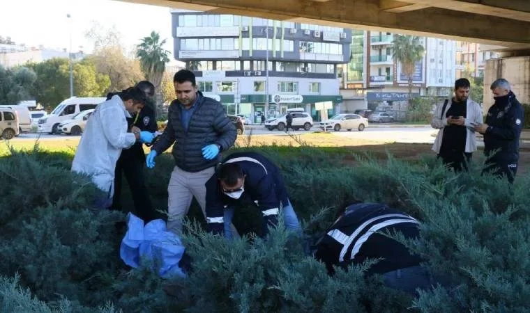 Antalya'da ceset bulundu, koku gerçeği ortaya çıkardı