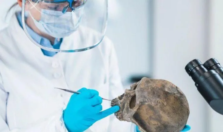 Neandertallerin varlığı insan soyunu kurtardı