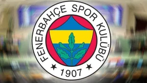 Fenerbahçe yatırımcısına kasımda kazandırdı