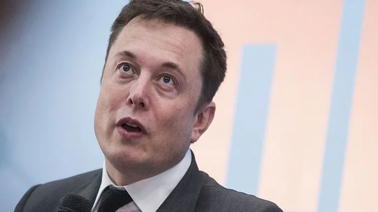 Musk, Almanya'da AfD'yi destekledi