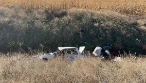 Şanlıurfa'da otomobil devrildi, 5 kişi yaralandı