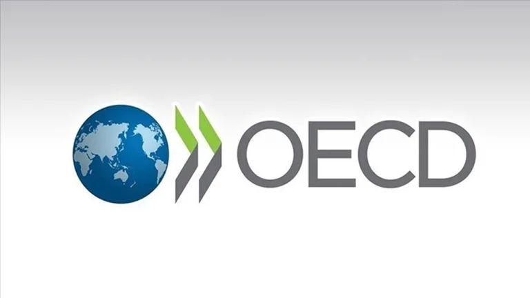 OECD Türkiye'nin ekonomik büyümesini yüzde 3,5 tahmin ediyor