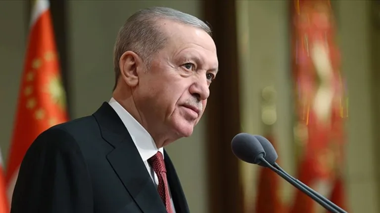 Erdoğan, Güney Kore'deki uçak kazası için taziye mesajı yayımladı