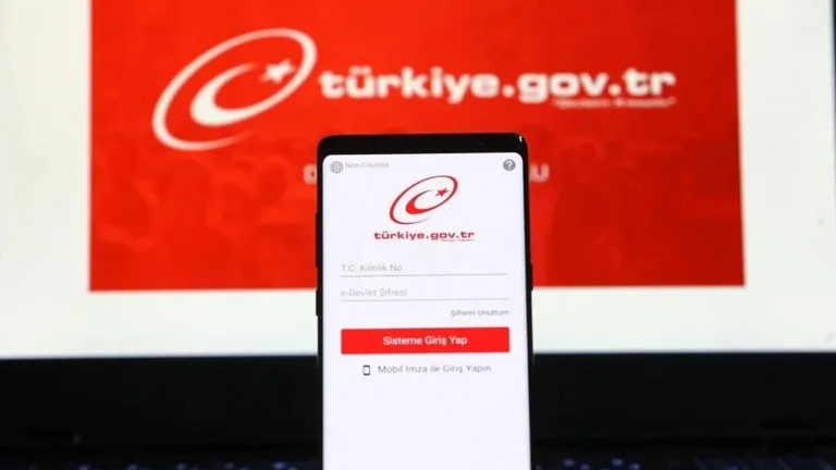 e-Devlet 2024'te 4,2 milyar işlem gerçekleştirdi