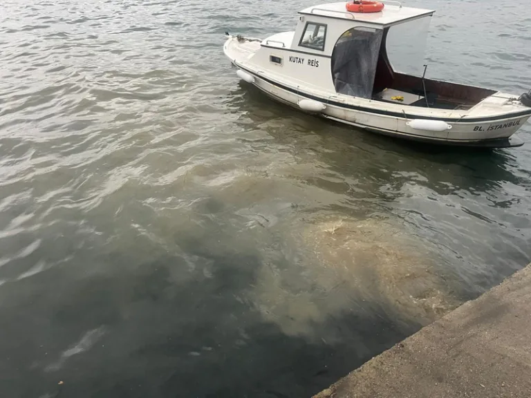 İstanbul Boğazı'nda atık su skandalı sonrası inceleme başlatıldı