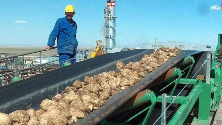 ÖİB, Iğdır Şeker Fabrikası'nın satışını onayladı