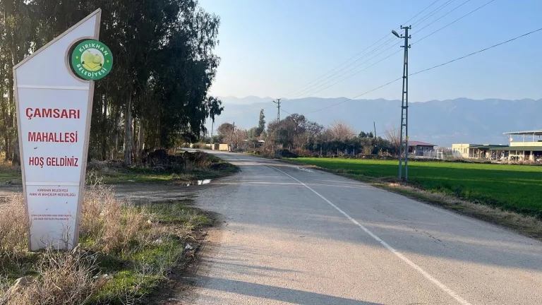 Hatay'da kuduz alarmı: iki kişi ısırıldı, mahalle karantinaya alındı