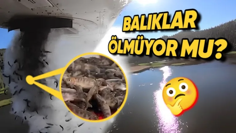 Uçakla balık bırakmanın sebepleri