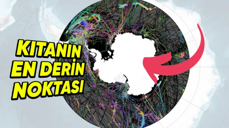 Antarktika'da bilim insanlarını şaşırtan 10 keşif