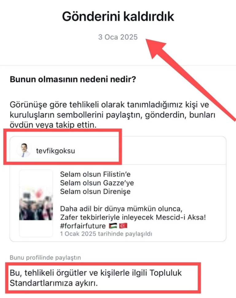 Instagram, Göksu'nun Filistin paylaşımını sansürledi