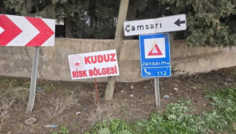 Hatay'da kuduz virüsü nedeniyle mahalle karantinaya alındı