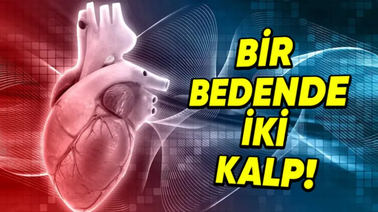 İtalya'da iki kalple yaşayan adamın hikâyesi