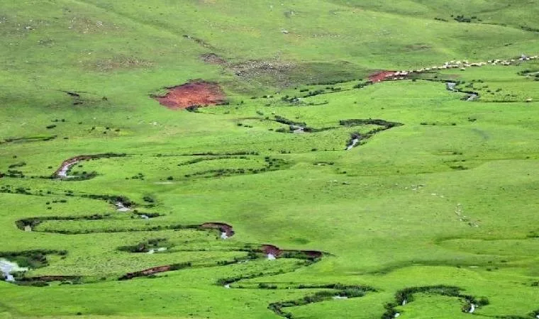 Perşembe Yaylası maden tehdidi altında kalmaya devam ediyor