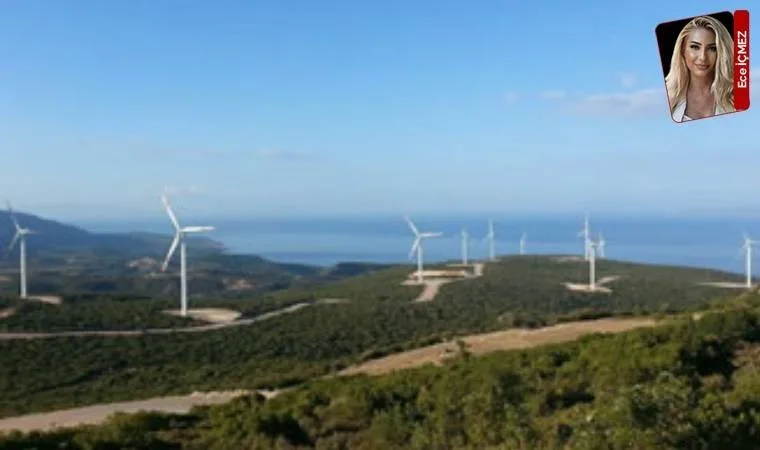 İzmir'de rüzgar enerjisi projesine ÇED onayı verildi