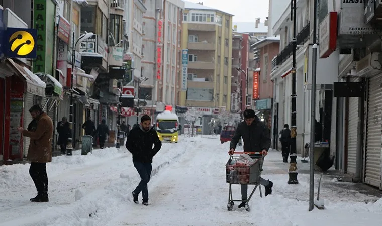 Van'da kar yağışı 493 yerleşim yerini kapattı