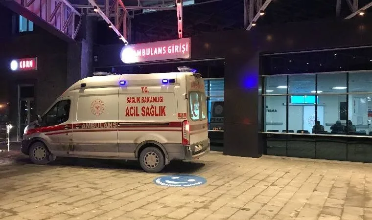 Bilecik'te kontrolden çıkan otomobil kaza yaptı: 2 yaralı!