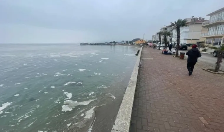 Marmara Denizi'nde müsilaj alarmı verildi