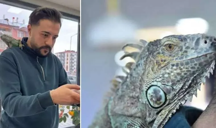 Konya'da kuaför iguana ile tıraş yapıyor