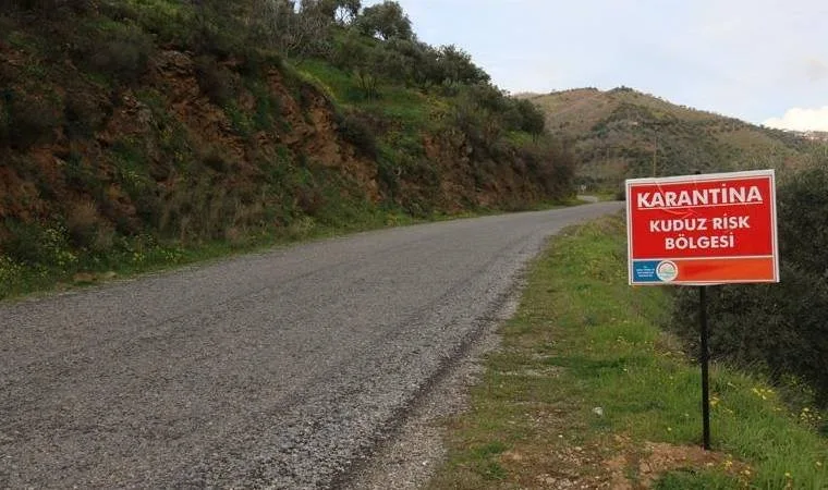 Hatay'da kuduz vakası nedeniyle mahalle karantinaya alındı