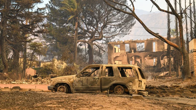 Los Angeles'ta yangınlar 5 binden fazla yapıyı etkiledi