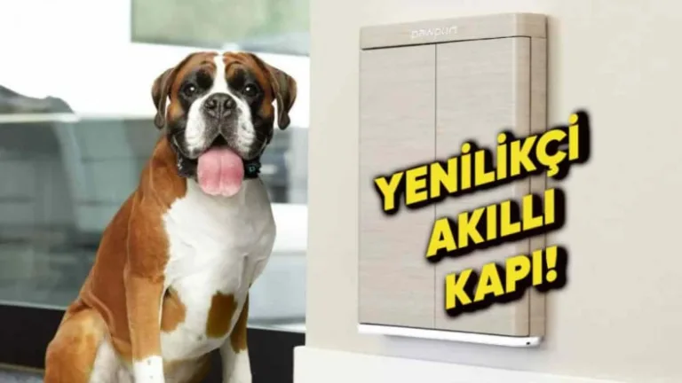 Akıllı kapı evcil hayvan güvenliğini artırıyor